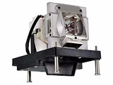 AL™ Series AH-CD30101 Lamp & Housing for Eiki Projectors - 90 Day Warranty