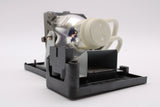 Genuine AL™ 5J.J0705.001 Lamp & Housing for BenQ Projectors - 90 Day Warranty