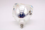 132W-150W 1.0 P22HA Bulb for Various TVs and Projectors - 240 Day Warranty
