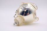 Jaspertronics™ OEM Lamp (Bulb Only) for the Video7 PD753 Projector - 240 Day Warranty