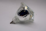 Jaspertronics™ OEM 69788 Projector & TV Bulb (Lamp Only) with Osram bulb inside - 180 Day Warranty