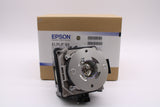 Epson Lamp & Housing for The Pro G7200W Projector - 1 Year Warranty