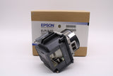 Epson Lamp & Housing for The Pro G7100 Projector - 1 Year Warranty