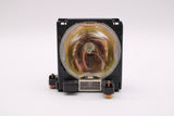 Jaspertronics™ OEM Lamp & Housing for the Panasonic PT-L758E Projector - 240 Day Warranty