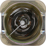 Philips MSD Platinum 20R Lamp for the TERBLY G12WB BEAM