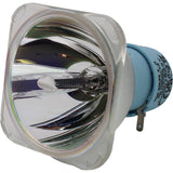 Philips MSD Platinum 14R Lamp for the TERBLY G9B