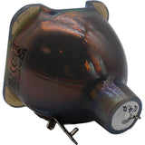 Philips MSD Platinum 16 R Lamp for the Terbly PT330W