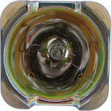 Philips MSD Platinum 16 R Lamp for the Jolly Hongcai X-SUPER BEAM