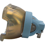 Philips MSD Platinum 20RB Stage Touring Broadway Lamp for the DeSheng MH-470B IP