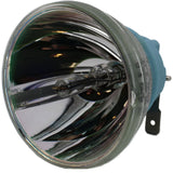 Philips MSD Platinum 200 Flex Lamp for the Terbly V240BS