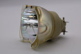 Philips MSD Silver 480W/2 LL Stage Touring Broadway Lamp - 9284-986-05308