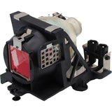 Action-M25-LAMP