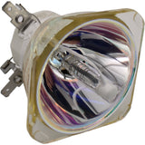 NSL-300