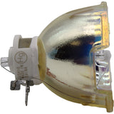 Hybrid 1 Outcast-LAMP