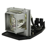 AL™ Series Lamp & Housing for The Acer P7290 Projector - 90 Day Warranty