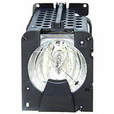 AL™ Series BL-FP120B Lamp & Housing for Optoma Projectors - 90 Day Warranty