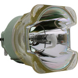 Jolly X-5 Coupe-LAMP