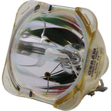 Cindy PRO-16R-LAMP