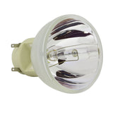 E20.9n 240W 0.8 AC Bare Projector Lamp - 55070 - 1 Year Warranty
