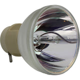 E20.9n 240W 0.8 AC Bare Projector Lamp - 55070 - 1 Year Warranty