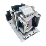 DW866 replacement lamp