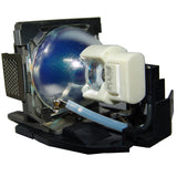 AL™ Series 5J.08G01.001 Lamp & Housing for BenQ Projectors - 90 Day Warranty
