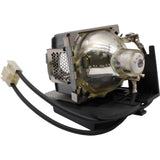 AL™ Series 5J.J2C01.001 Lamp & Housing for BenQ Projectors - 90 Day Warranty