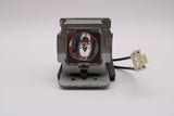 AL™ Series 5J.J2C01.001 Lamp & Housing for BenQ Projectors - 90 Day Warranty