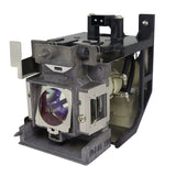 RLC-107 Original Philips replacement lamp