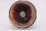 Jaspertronics™ OEM Lamp (Bulb Only) for The BenQ SU931 Projector with Ushio bulb inside - 240 Day Warranty