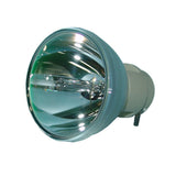 E20.9n 330W-370W 0.8 AC Bare Projector Lamp - 69555 - 90 Day Warranty