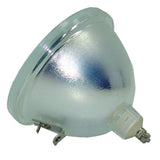 E23 132/150W 1.0 Bare Lamp (Replaces the 69554-1 and 69382-1)