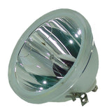 E23 132/150W 1.0 Bare Lamp (Replaces the 69554-1 and 69382-1)