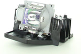 AL™ Series 997-5247-00 Lamp & Housing for Planar Projectors - 90 Day Warranty