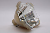 AL™ Series 69568 Bulb (Lamp Only) for Various Applications - 90 Day Warranty