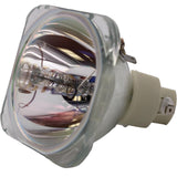 E20.6n 200W 1.0 AC Bare Projector Lamp - 69789-1