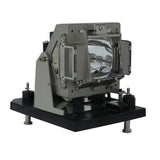 AL™ Series Lamp & Housing for The Vivitek D5500 Projector - 90 Day Warranty