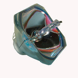 69066 Bulb