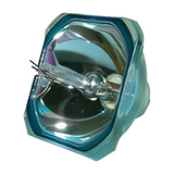69066 Bulb
