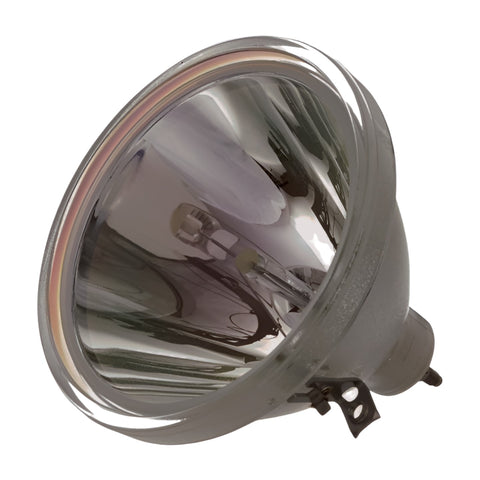 LC4100 Bulb