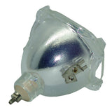 69440 Projector & TV Bulb (Lamp Only) - 1 Year Warranty