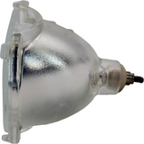 69440 Projector & TV Bulb (Lamp Only) - 1 Year Warranty