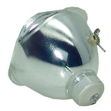 PD321-LAMP