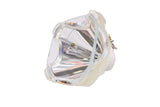 PROC3 Bulb