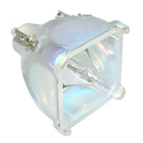 69546 Bulb