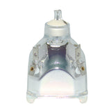 69546 Bulb