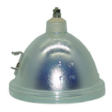 69554 Bulb