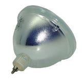 HD2100U Bulb