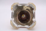 AL™ Series 69568 Bulb (Lamp Only) for Various Applications - 90 Day Warranty