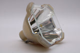 69568-BULB-A